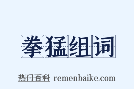 拳猛组词是什么意思的图片